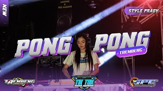 DJ Pong Pong terbaru  style BREWOG  Pong Pong full bass horeggg [upl. by Hoi142]