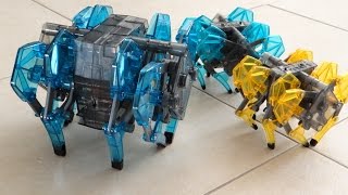 HEXBUG Strandbeast XL Huge Robotic Spider [upl. by April]