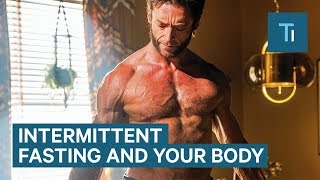 How Intermittent Fasting Affects Your Body and Brain  The Human Body [upl. by Anima667]