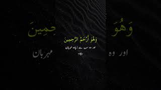 ALQURAN beautiful verses with urdu translation quran islam [upl. by Haramat484]