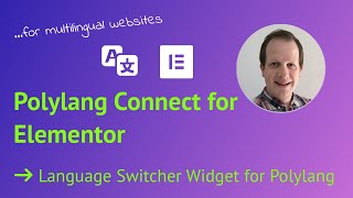 Elementor Language Switcher Widget for Polylang  WordPress multingual [upl. by Ahseekal218]