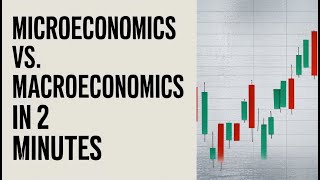 Microeconomics vs Macroeconomics in 2 Minutes [upl. by Anilyx180]