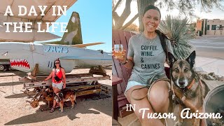 A Day in the Life Living Working and Mini Adventuring from Our Teardrop Camper I Tucson Arizona [upl. by Nodnil]