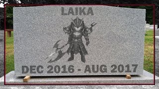 LAIKA Post Nerf In RTA  Summoners War [upl. by Lyle]