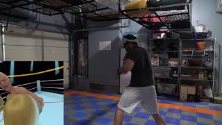 Thrill of the Fight VR Boxing  Normal vs Outclassed Difficulty [upl. by Male]