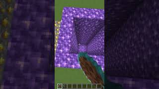 Hole Filler Mod vs Different LVL Gaps shorts meme minecraft [upl. by Naelcm]