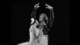 Margot Fonteyn amp Rudolf Nureyev beautiful performance SWAN LAKE a Tchaikovsky ballet 1965 [upl. by Carl]