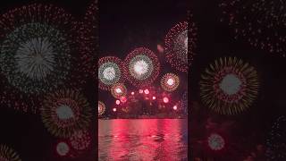 Amazing Fireworks 🎇 fireworks reels diwali2024 diwali viralvideo viralshorts amazing [upl. by Alyat223]