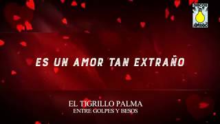 EL TIGRILLO PALMA  Lyrics Entre Golpes Y besos [upl. by Tteraj439]