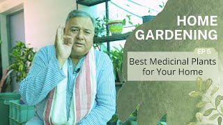 Home Gardening  Ep 5  Best Medicinal Plants For Your Home [upl. by Oriel28]