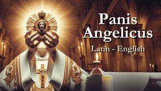 Panis Angelicus  English Lyrics [upl. by Bekha]