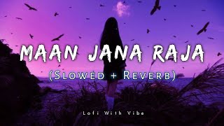 Maan Jana Raja  मान जाना राजा Cg Song  Slowed And Reverb  Lofi Mix [upl. by Nasas]