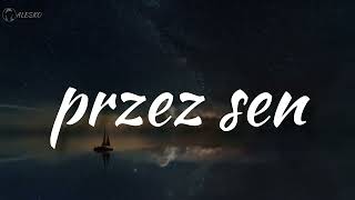 Alesko  Przez sen Official Music Audio [upl. by Lewiss]