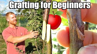 Apple Tree Grafting For Beginners  Learn How To Graft  Includes 6 Months of Updates [upl. by Serene]