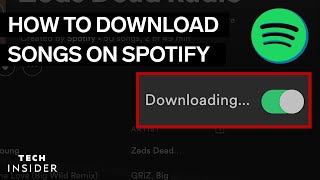 How To Download Music From Spotify 2022 [upl. by Corbett]