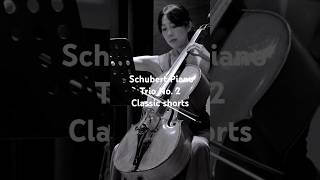 영화 같은 클래식 도입부 Schubert Piano Trio No 2 2nd Movement  Cinematic Elegance 🎬🎻🎹  YouTube Shorts [upl. by Krystle]