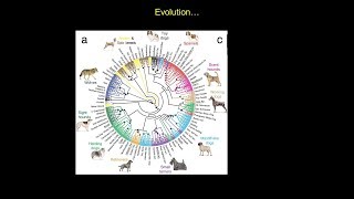 Darwin Revisited [upl. by Ai]