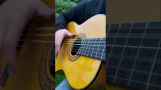 It’s crazy flamenco guitar [upl. by Shayn]