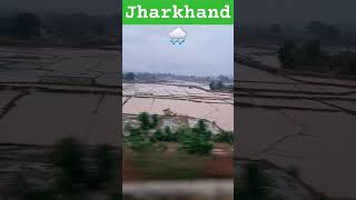 Jharkhand barish monsoon2024 trendingshorts weather [upl. by Wertheimer]