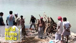 Cremation ceremony of Hindu  Haridwar [upl. by Hadeehsar]