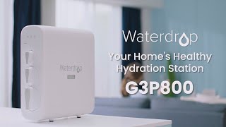 Waterdrop G3P800  Your Homes Healthy Hydration Station🏠 [upl. by Ehtylb]