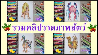 น้องเกรส l รวมคลิปวาดภาพสัตว์ค่ะ [upl. by Anisirhc]