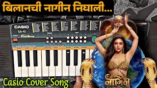 Bilanchi nagin nighali  Marathi song full song  gondi songs  cg song [upl. by Esemaj41]