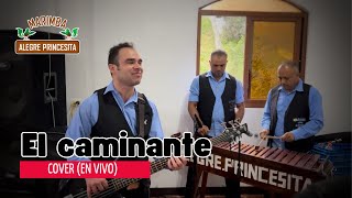 El Caminante  cover Marimba Alegre Princesita en vivo [upl. by Mariejeanne]