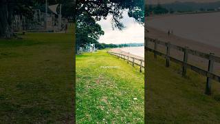 Paihia Beach amp Te Ti Bay New Zealand shorts naturewalk naturelovers birdloversdaily birding [upl. by Yahs89]