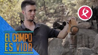 Alejandro continúa con la tradición de usar cencerros  El campo es vida [upl. by Lauhsoj871]