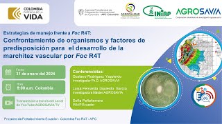 Estrategias de manejo frente a Foc R4T [upl. by Hammad]