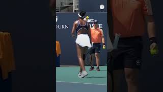 Un gato obliga a parar el partido de Venus Williams en miami venuswilliams tennis viral [upl. by Siger]