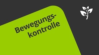 Prozess der Bewegungskontrolle  Biologie  Neurobiologie und Verhalten [upl. by Etterual143]