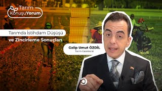 Tarım KonuşuYorum  Tarımda İstihdam Düşüşü ve Zincirleme Sonuçları [upl. by Rechaba845]