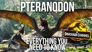 What Was The Pteranodon  The Dinosaur Channel [upl. by Winthorpe]