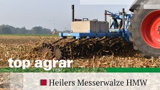 top agrar Fahrbericht  Heilers Messerwalze HMW 60  1440 Messer gegen Maisstoppeln [upl. by Dyche400]