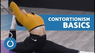 Beginners CONTORTIONISM Tutorial ✨ 3 Exercises to Increase Flexibility [upl. by Zilef]