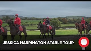 Jessica Harrington Stable Tour [upl. by Bottali]