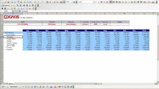 IBM Cognos TM1 analysis demo [upl. by Manno928]