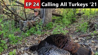 Turkey Hunting In The Late Season  Calling All Turkeys [upl. by Annoj]