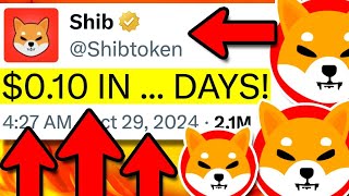 SHIBA INU SHYTOSHI WHAT BUT HOW IS THIS EVEN POSSIBLE  SHIBA INU COIN NEWS TODAY [upl. by Zach424]