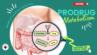 Reinhartz Rundown Drug Interactions Part 13  Prodrug [upl. by Khosrow]