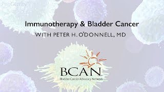 How Does Immunotherapy Work – Bladder Cancer Immunotherapy Animation [upl. by Charley]