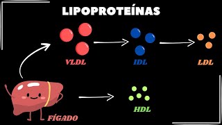 O que e quais são as principais lipoproteínas [upl. by Ydahs]