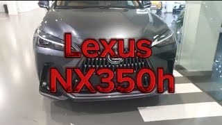 Lexus NX 350h 2024 [upl. by Arinaj]