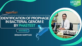 Identify Prophage in Bacterial Genome by PHASTEST  WGS8  Lecture 429  Dr Muhammad Naveed [upl. by Lateh791]