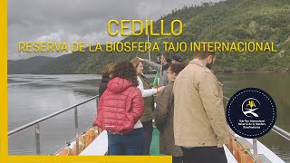 Cedillo en la Reserva de la Biosfera Tajo Internacional [upl. by Atila]