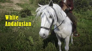 Red Dead Redemption 2  White Andalusian how good is the look  swap coat [upl. by Bremser]