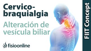 Cervicobraquialgia Izquierda por vesícula biliar  Plantas medicinales y remedios naturales [upl. by Azarcon761]