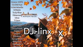 ZimHitsMixtape DJlinxWACHO [upl. by Jerrilee]